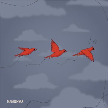 PE PE PE-cover