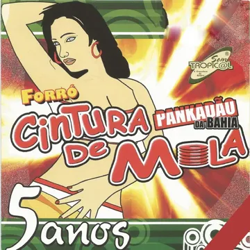 forr-cintura-de-mola-canequinho-de-couro-cover-image