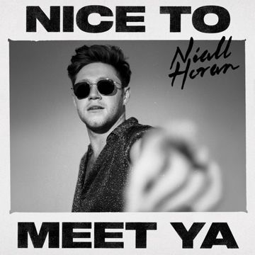 Nice To Meet Ya-cover