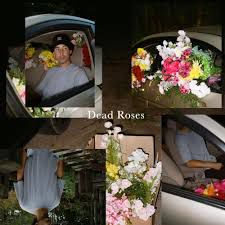 Dead Roses-cover