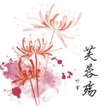 芙蓉殇-cover