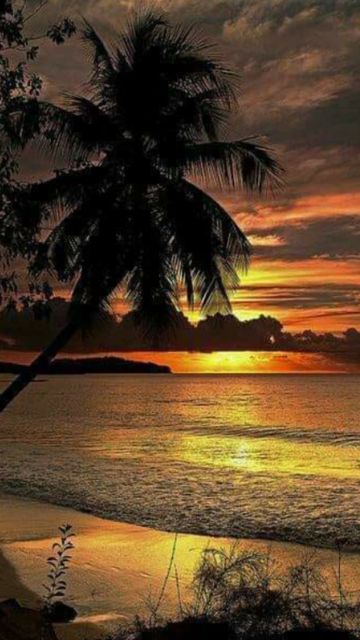 Ami banglay gaan gai 