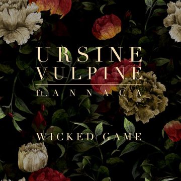Wicked Game-cover