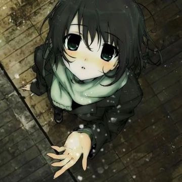 ⋆ 雪花凋落の際 ⋆-cover