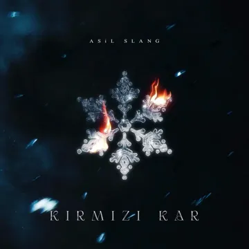 Alacağım Var-cover
