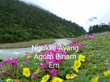 tai-riba-ngokke-ayang-agom-binam-em-by-oyem-daidonyi-gogling-audio-cassette-cover-image