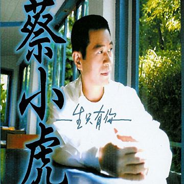 我的选择犹原是你-cover