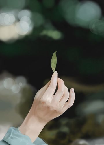 Phi Vân Điệp Khúc-cover