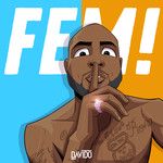 FEM-cover
