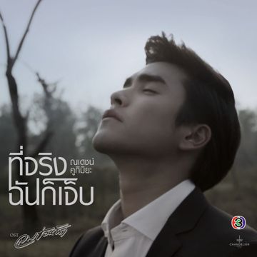 ที่จริงฉันก็เจ็บ-cover