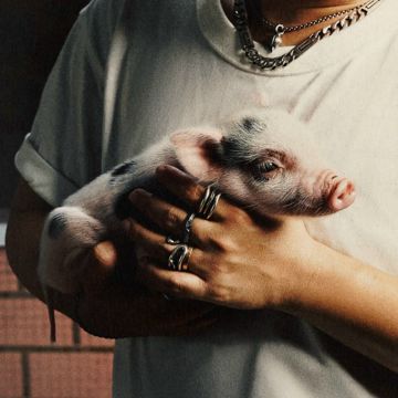coveImg