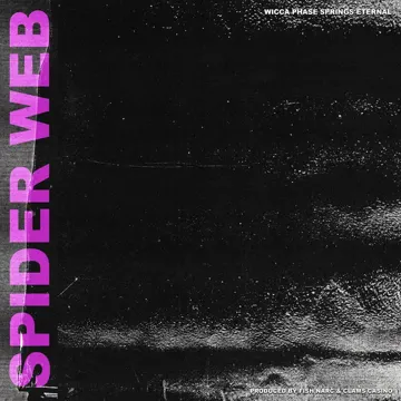 Mystery-cover