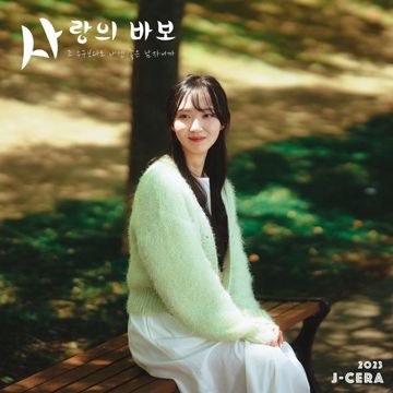 사랑의 바보-cover