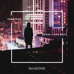 Never Came Back-cover