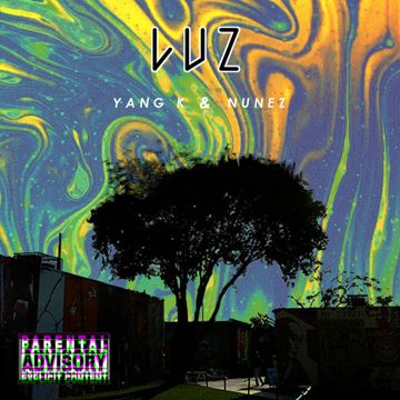 Luz-cover