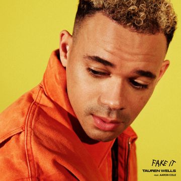 Fake It-cover