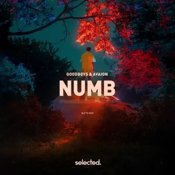 Numb-cover