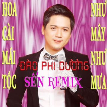 Hoa Cài Mái Tóc (Remix)-cover
