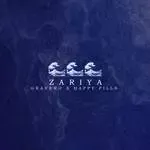 Zariya (Remix)-cover