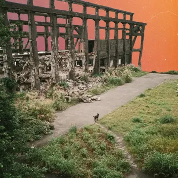 coveImg