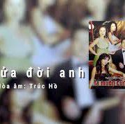 Một Nửa Đời Anh -cover
