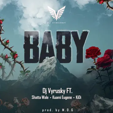 Baby-cover