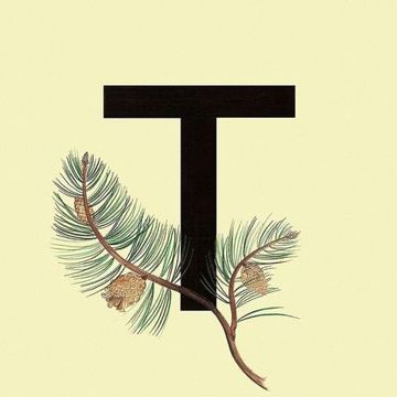 Заря (by DmitryS)