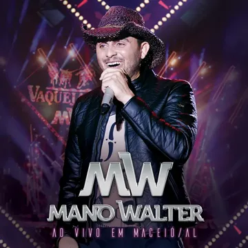 Festa De Vaquejada-cover