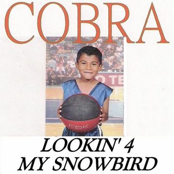 coveImg
