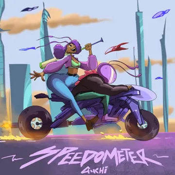 Speedometer-cover