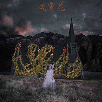 능소화-cover