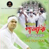 মসজিদের ও পালকি