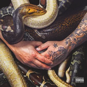 Extendo-cover