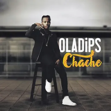 Chache-cover