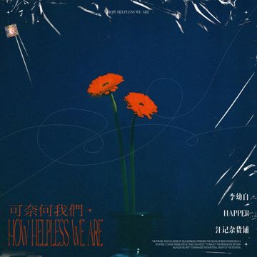 可奈何我们-cover