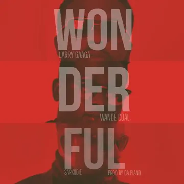 Wonderful-cover