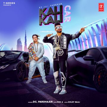 Kali Kali Car-cover