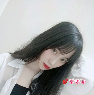 sicon-chn-qu-thanh-bnh-cover-image