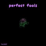 ~perfect fools~-cover
