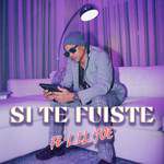 Si Te Fuiste-cover
