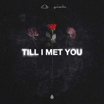 Till I Met You-cover