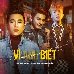 Vì Anh Biết-cover
