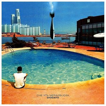 che vita meravigliosa-cover