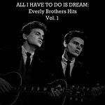 the-everly-brothers-lightning-express-cover-image