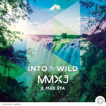 Into The Wild-cover