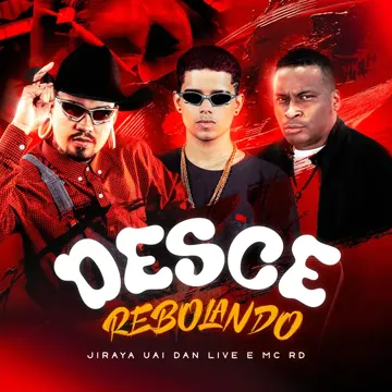 Desce Rebolando-cover