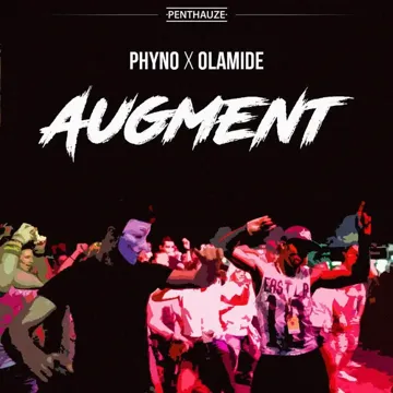 Augment-cover