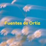Fuentes de Ortiz-cover
