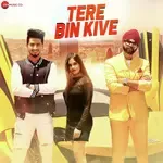 Tere Bin Kive-cover