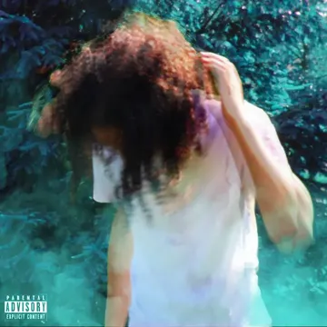 Trouble-cover